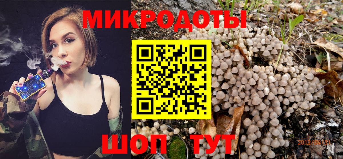 Псилоцибиновые грибы GOLDEN TEACHER Сатка